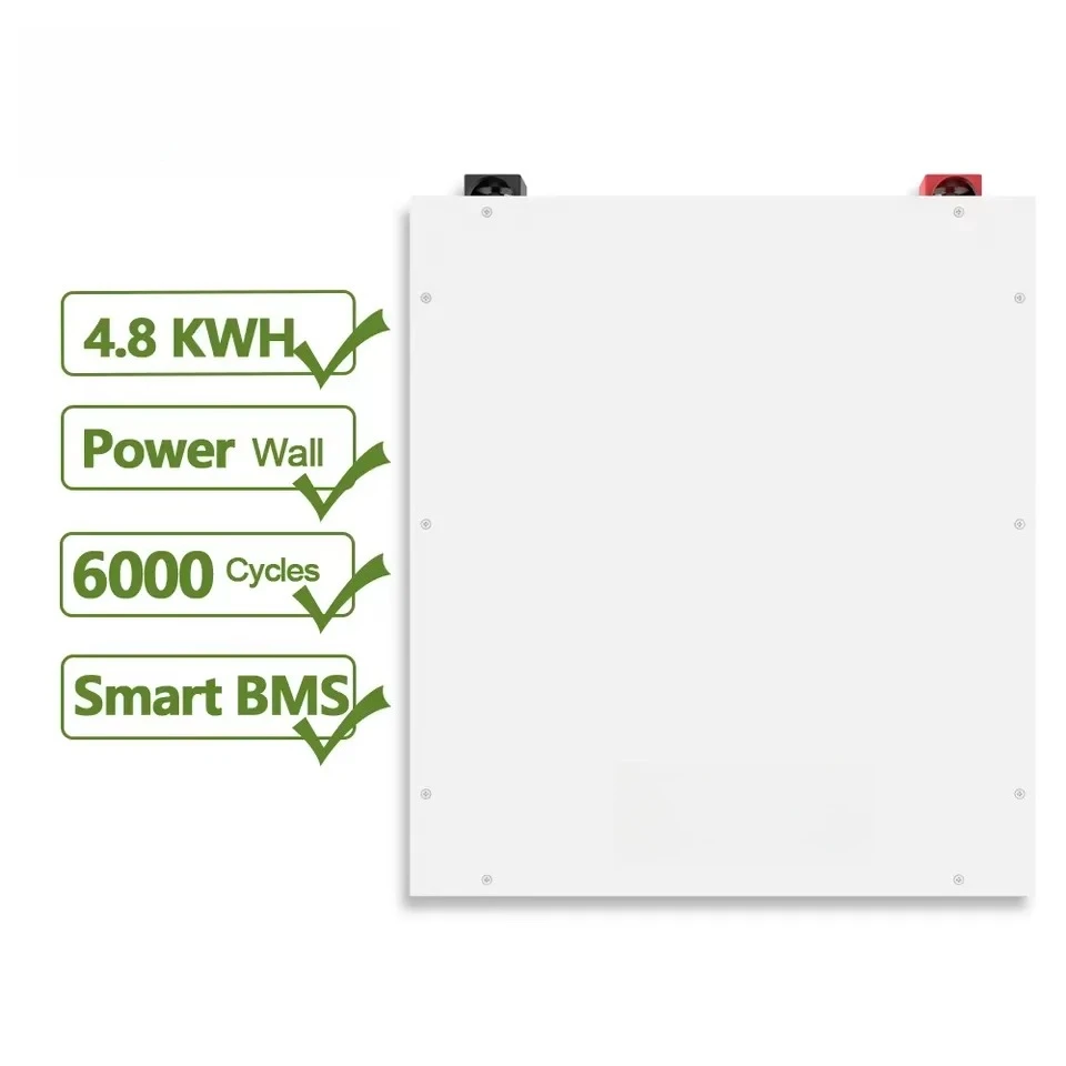 

Dyness A48100 Lithium Ion Batteries 48v 100ah 5Kwh Rack Wall Mounted Lifepo4 Battery Pack for Home Energy Storage