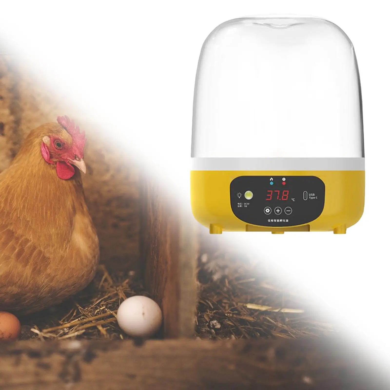 Portable Digital Automatic Egg Incubator Holds 5 Eggs USB Rechargeable LED Light Small Poultry Hatcher for Hatching Pigeon Bird