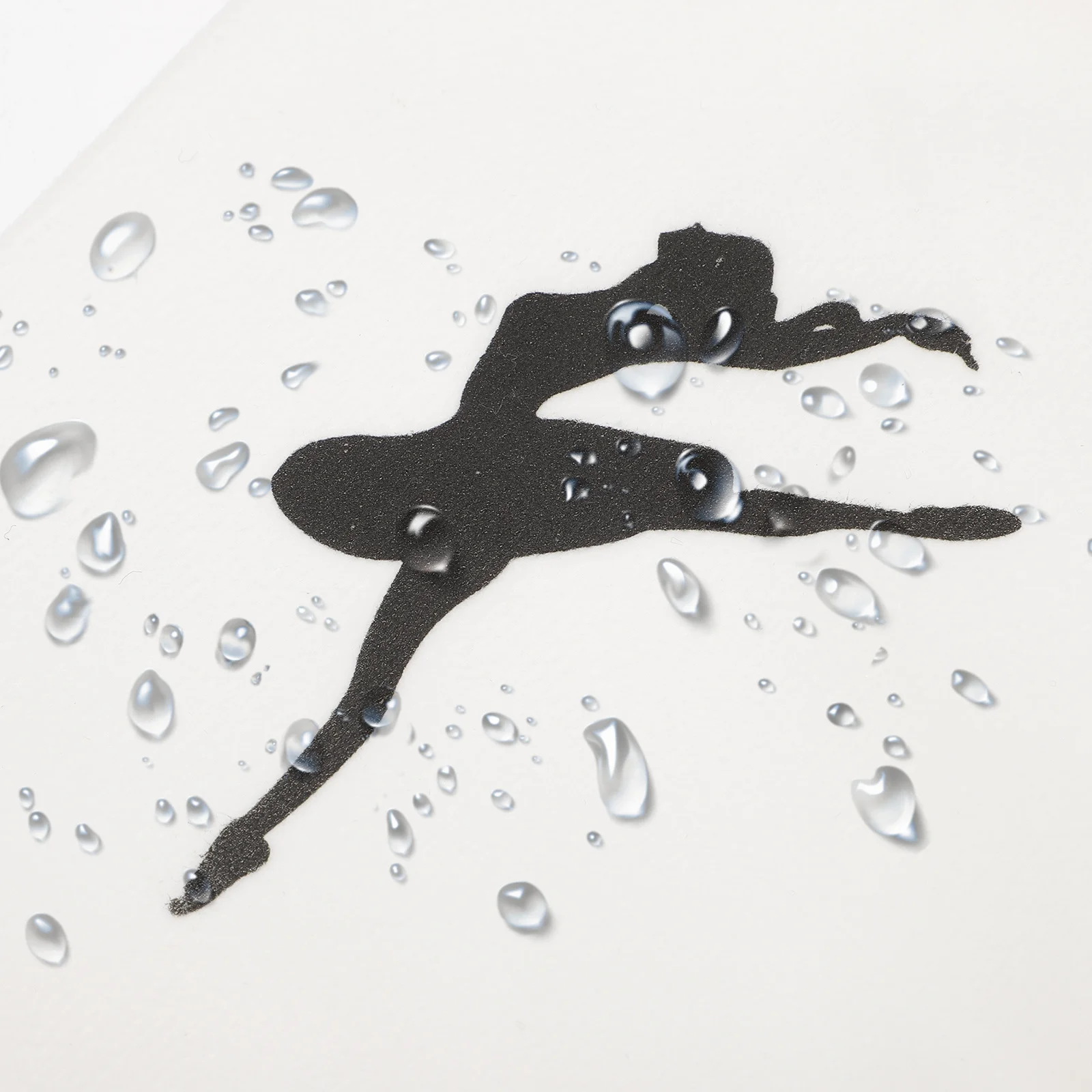 

4Pcs Portable Ballet Shoe Holder Strong and Durable for Dance Classes and Performances Pointe Shoe Bags Ballet Bags