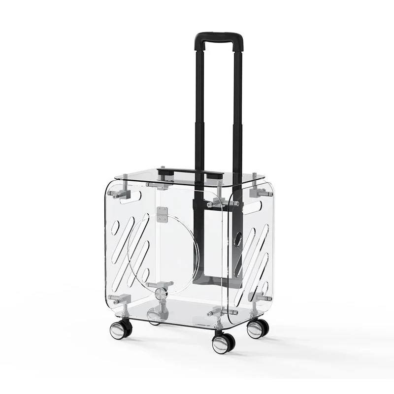 Pet Trolley Box Out Portable Transparent Hand Luggage Travel Trolley Airline Case Large Capacity Carriers for Dog Accessories