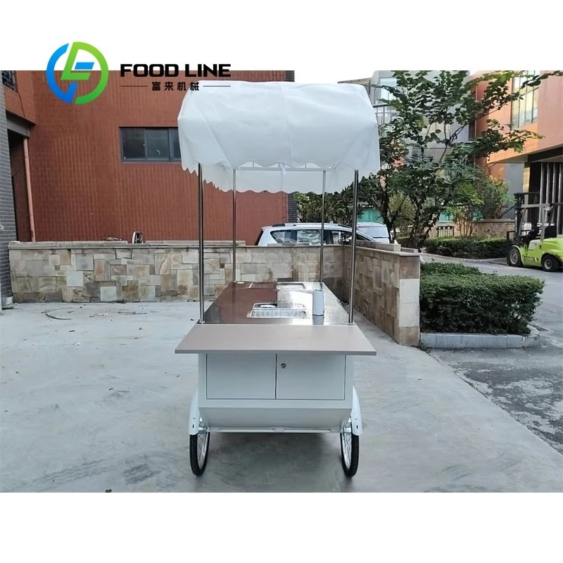 Customized Color Awning Mobile Coffee Ice Cream Hand Push Cart with Refrigerator Sink Food Bike Cart