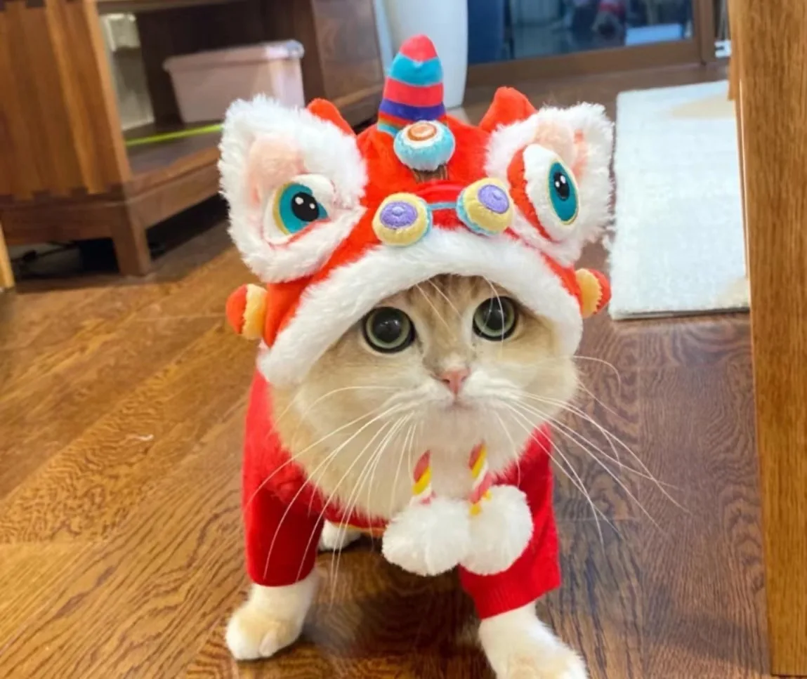 Pet New Year\'s Tiger Head HatAutumn and Winter Warm Dogs and Cats Funny Transform Headgear Headwear Supplies