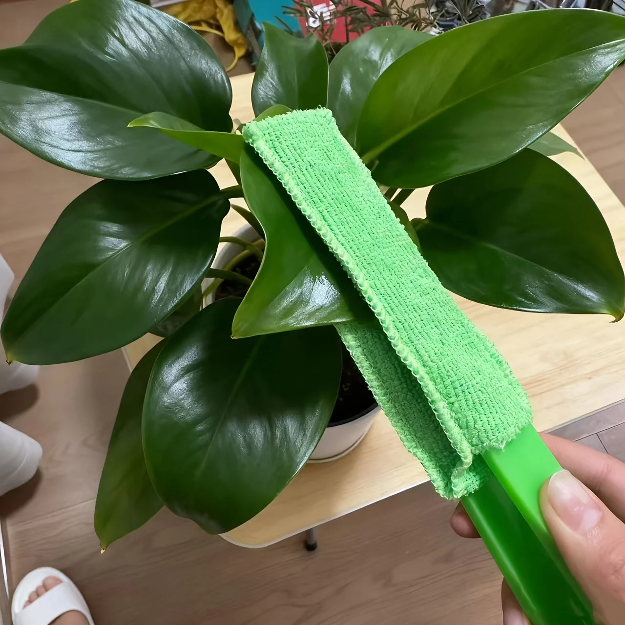 1 handheld soft bristled leaf and dust cleaning brush, suitable for removing dust in gardens, homes, and balconies