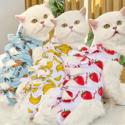 Pet Neuter Clothing Fruit Print Cat Neutering Suit Weaning Sterilization Jumpsuit for Small Dogs Cats Postoperative Care Clothes