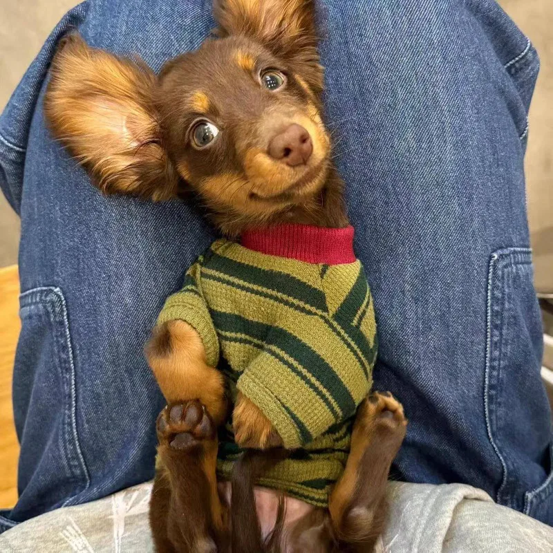 Dachshund Clothes, Spring and Autumn Clothes, Anti-cold Striped Bipods, Small Dog and Dog Sweater.