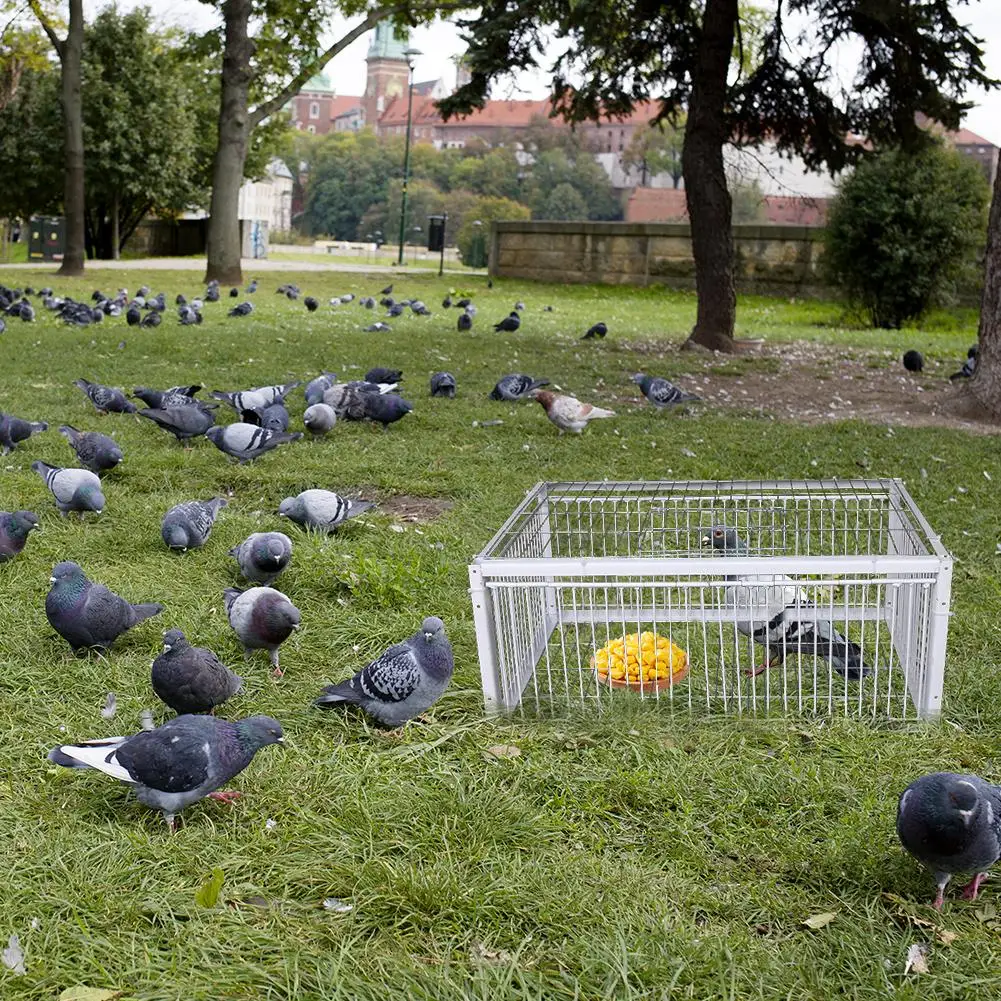 Thumbnail 3 - #25 Ranked Bird Cages Picks in 2026