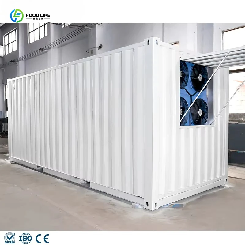 Container Block Ice Machine Salt Water Direct Cool Engine Motor Gear Industrial Plant for Bulk Ice Storage