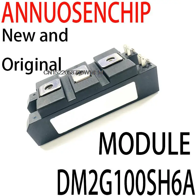 

1PCS Best Quality MODULE DM2G100SH6A