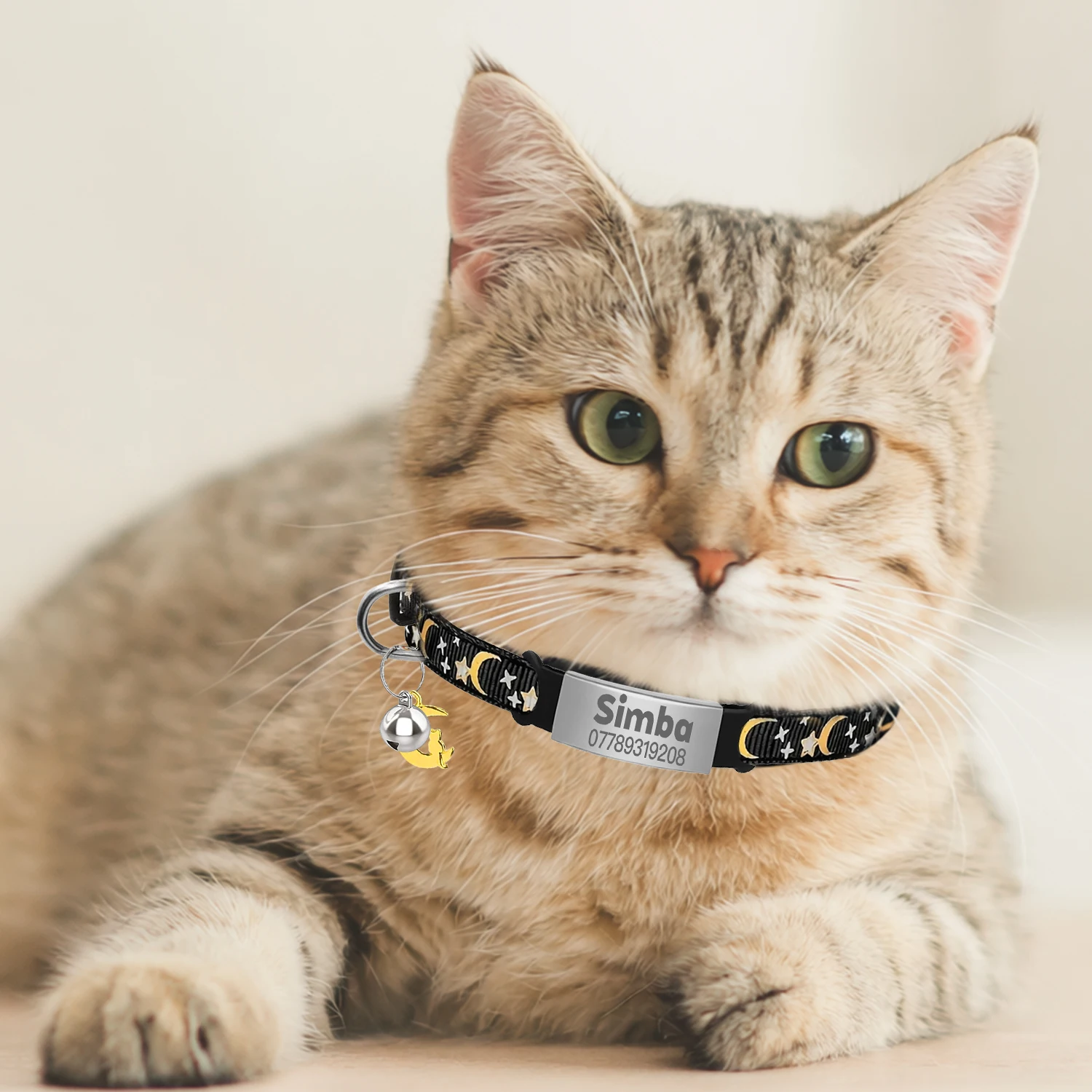 Customized Cute Glow Cat Collar Free Engraved Puppy Kitten Anti-lost Pet ID Nameplate Necklace With Bell & Moon Ornament image 3