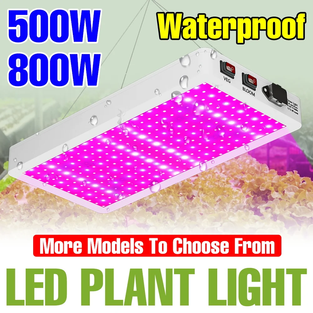 800w-full-spectrum-led-grow-lights-indoor-quantum-board-plant-fill-lamp-greenhouse-tent-vegs-seedings-fruit-cultivation-lighting