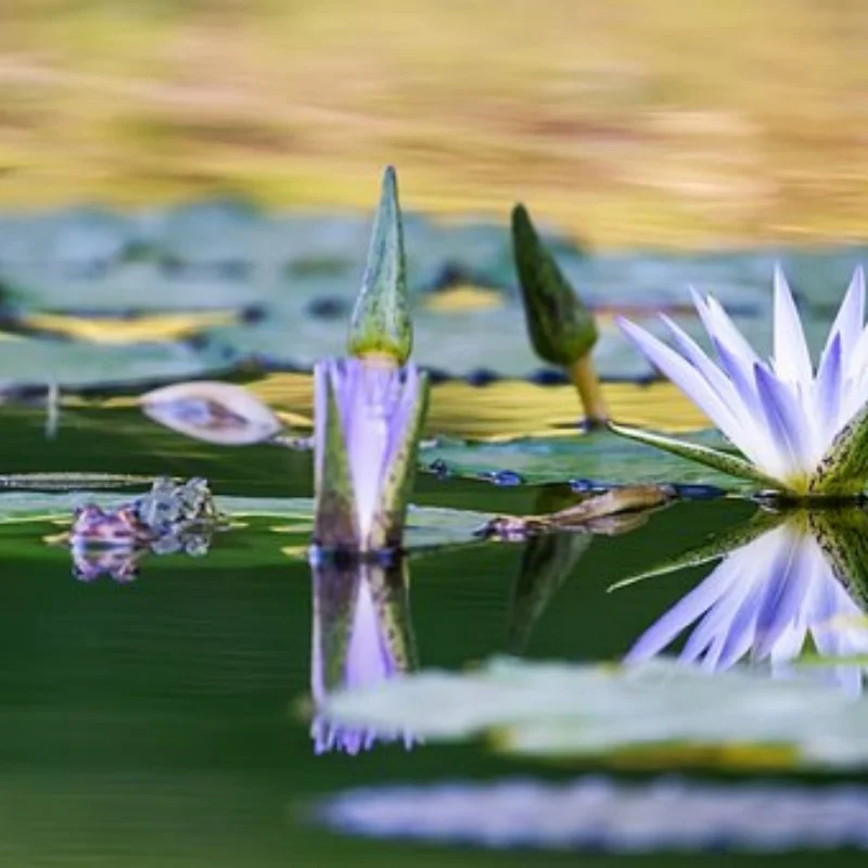 

RC HSP M4 гаечный ключ втулка 7 мм для обода колеса модели нейлоновый гаечный ключ инструмент