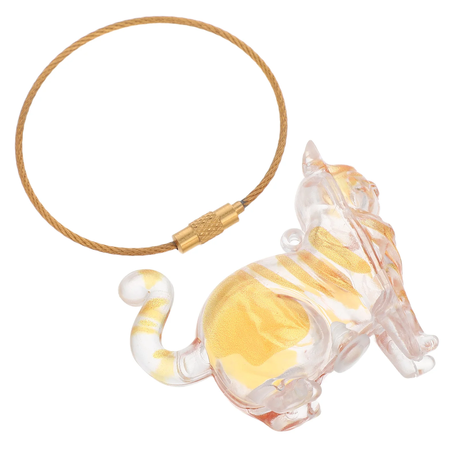 

Pet Hair Keepsake Keychain Transparent Cat Hair Storage Box Memorial Pendant Collector Charm for Ashes Portable Cremation