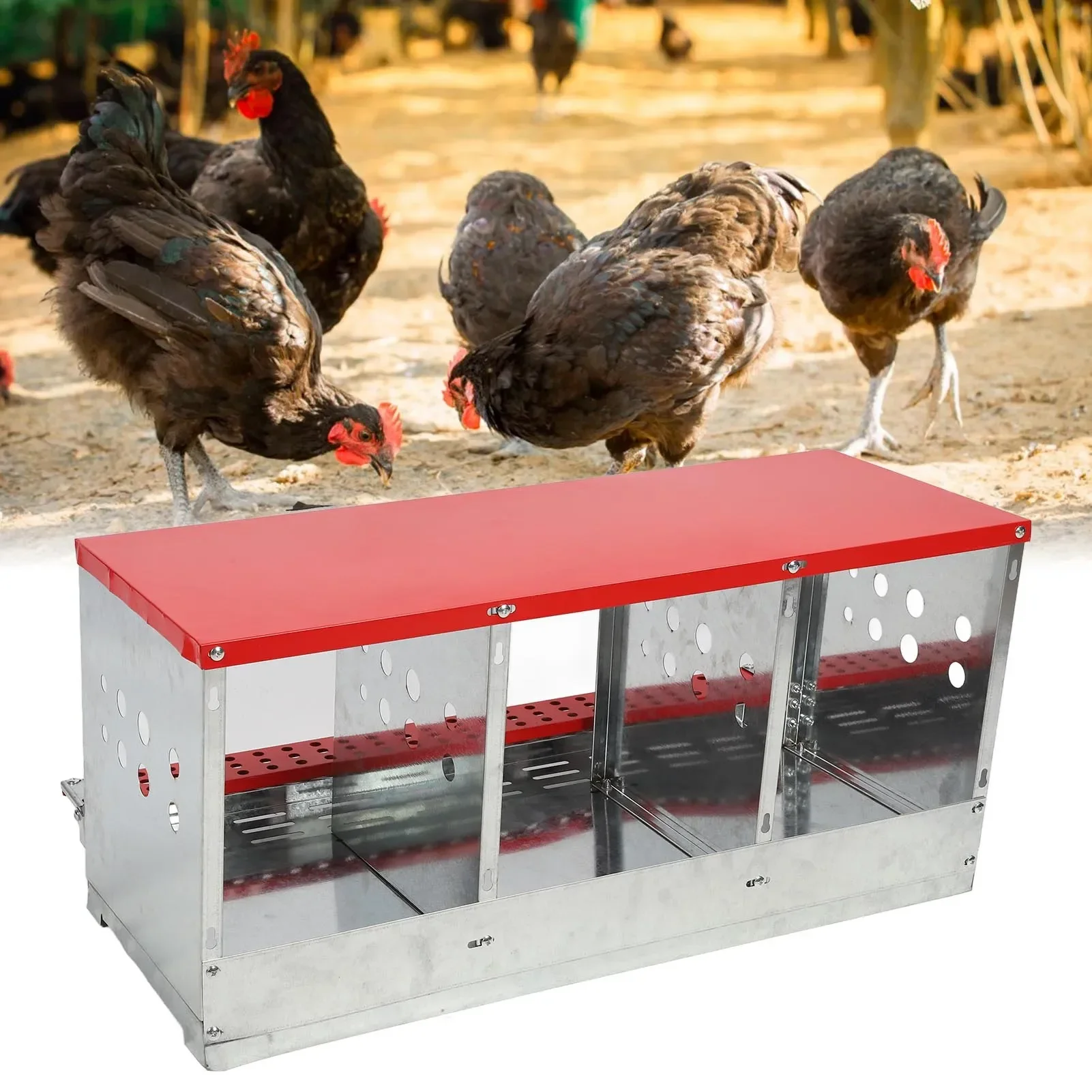 3 Hole Nesting Box Chicken Nesting Box 3 Compartment Well Ventilated Sturdy Hen Laying Box for Egg Collection Chicken Laying Box