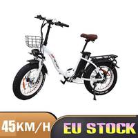 DRVETION 20 inch Adult Electric Bicycle Removable Lithium Battery 48V 750W Men's Snow Mountain Off-Road Electric Bicycle