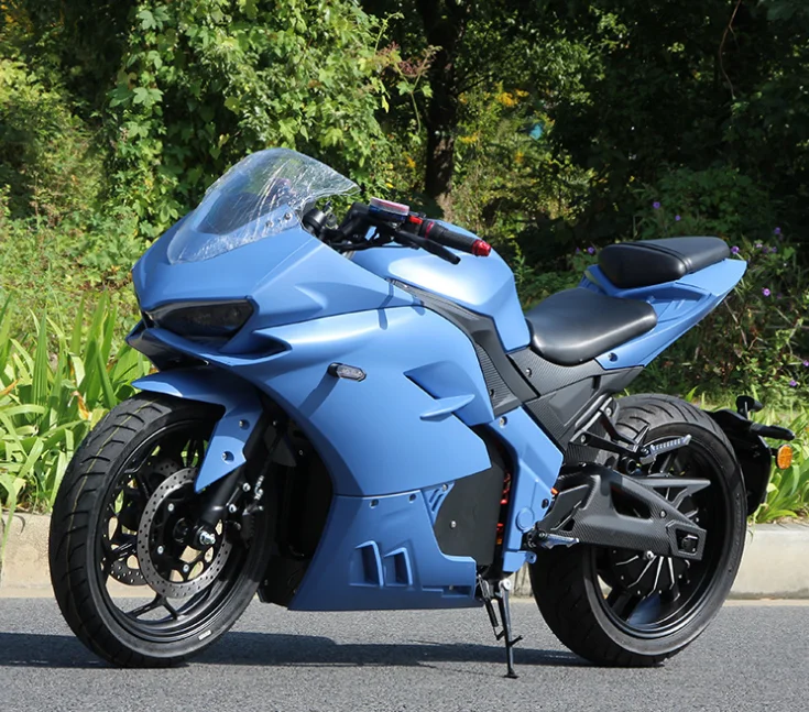 3 Wheel Electric Motorcycle 48V High Capacity Battery Urban Commuting Mobility Electric Scooter Cargo Electric Tricycle