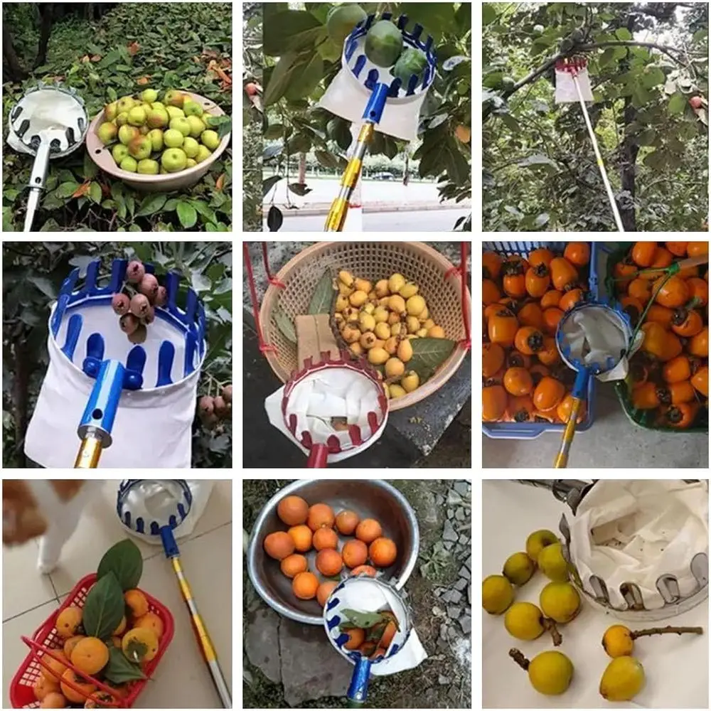 เครื่องมือเก็บผลไม้แบบยืดได้พร้อมถุง - 3 เมตร/9.8 ฟุต, เสาแบบยืดได้น้ำหนักเบาสำหรับเก็บผลไม้ตระกูลส้ม, ลูกพีช, แอปเปิ้ล