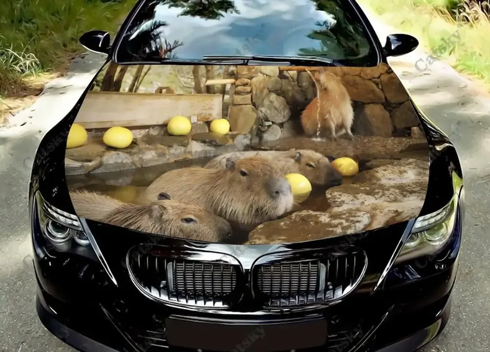 

Capybara animal Car Hood Decal Self-Adhesive Paint Suitable for SUV Wrap Truck Graphic Car Engine Vinyl Sticker