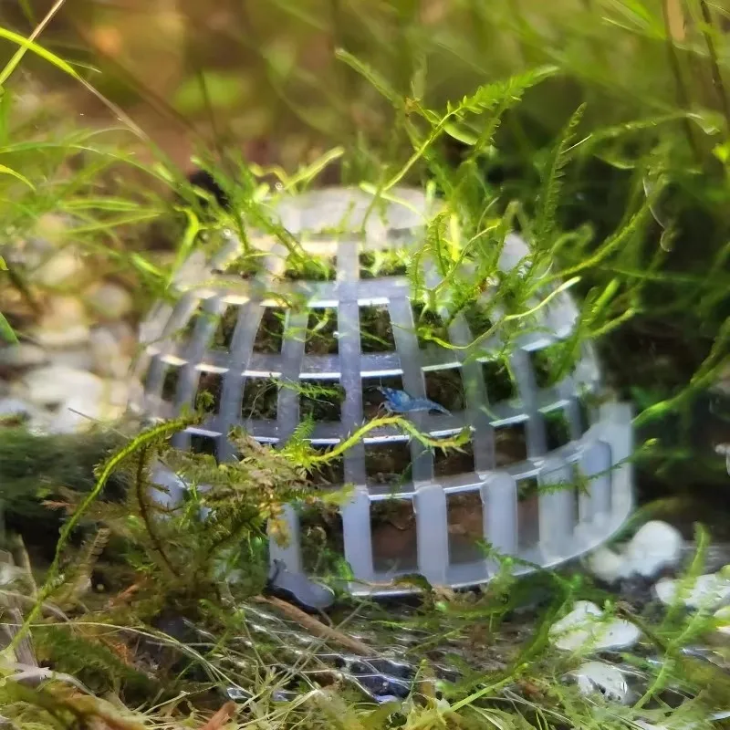Aquarium-Moosball-Filter, Aquatische Haustierbedarfsartikel, Dekorationen für Garnelen, Fischbecken, Haustierprodukte, Fischbecken-Dekor, Kunststoff
