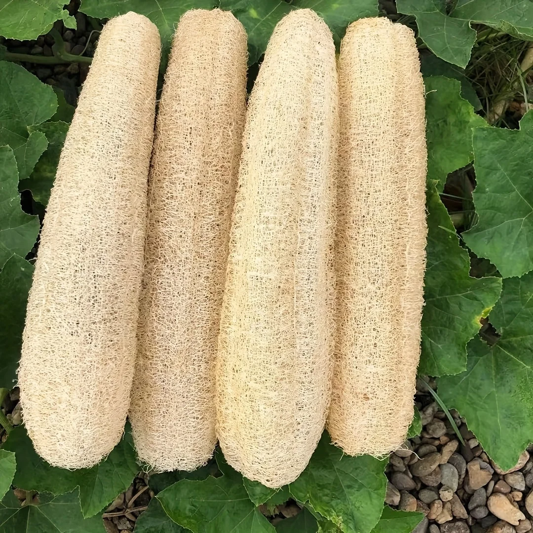 Naturalne gąbki Loofah Organiczna gąbka Luffa do kąpieli i prysznica Złuszczający peeling do ciała dla mężczyzn Kobiety Dorośli SPA Beauty Bathing D