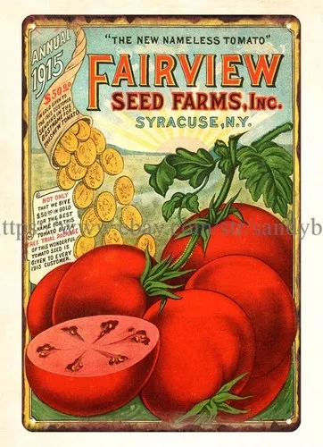 1915 Fairview Seed Farms Tomato metal tin sign garden business signs