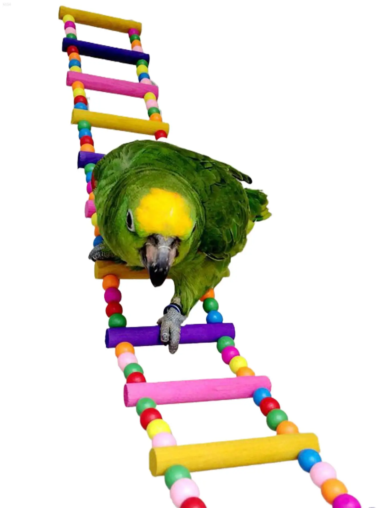 

NSDMColorful Wooden Bird Ladder & Swing - Perfect Habitat For Small Parrots