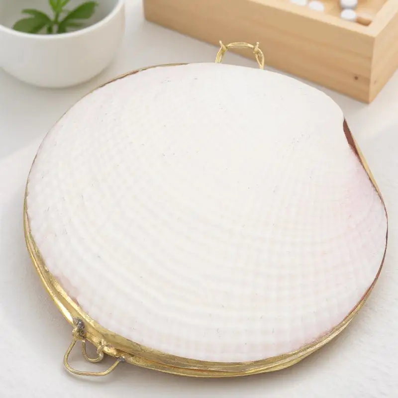 

Jewelry Box Oyster Craft Case Trinket Containers Vintage White For Engagement Wedding Gifts Storage Display