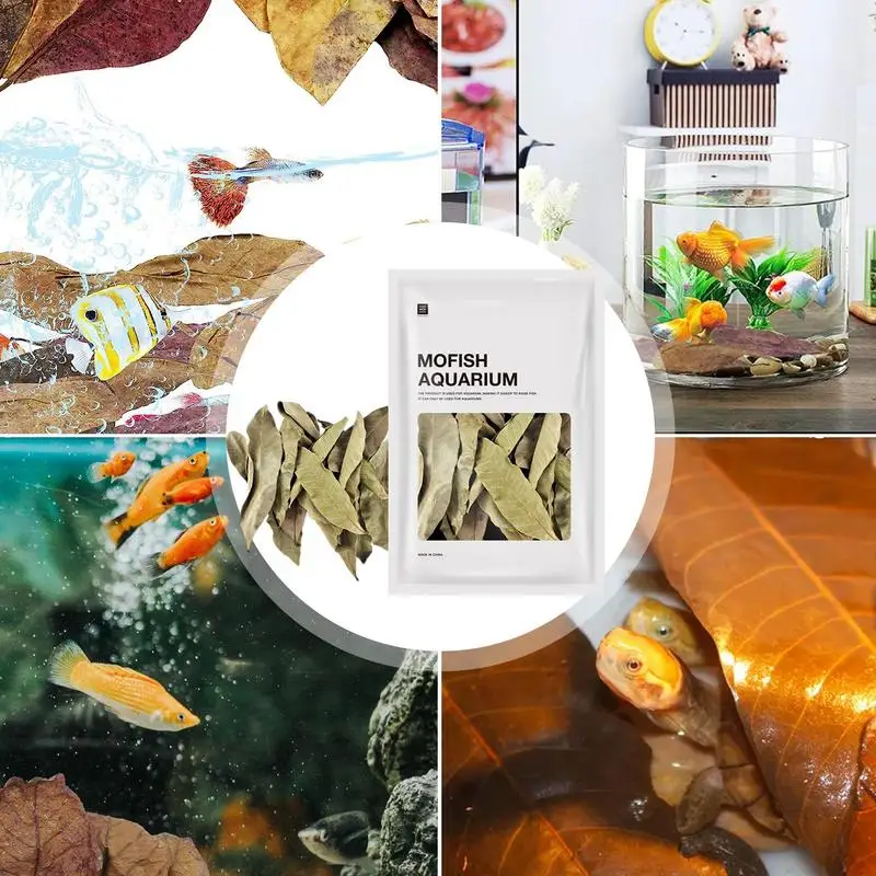 50pcs Indians Almond Leaves Natural Fish Aquarium Tank Water Conditioner Multi-Purpose Decoration Supplies for Fish Tank