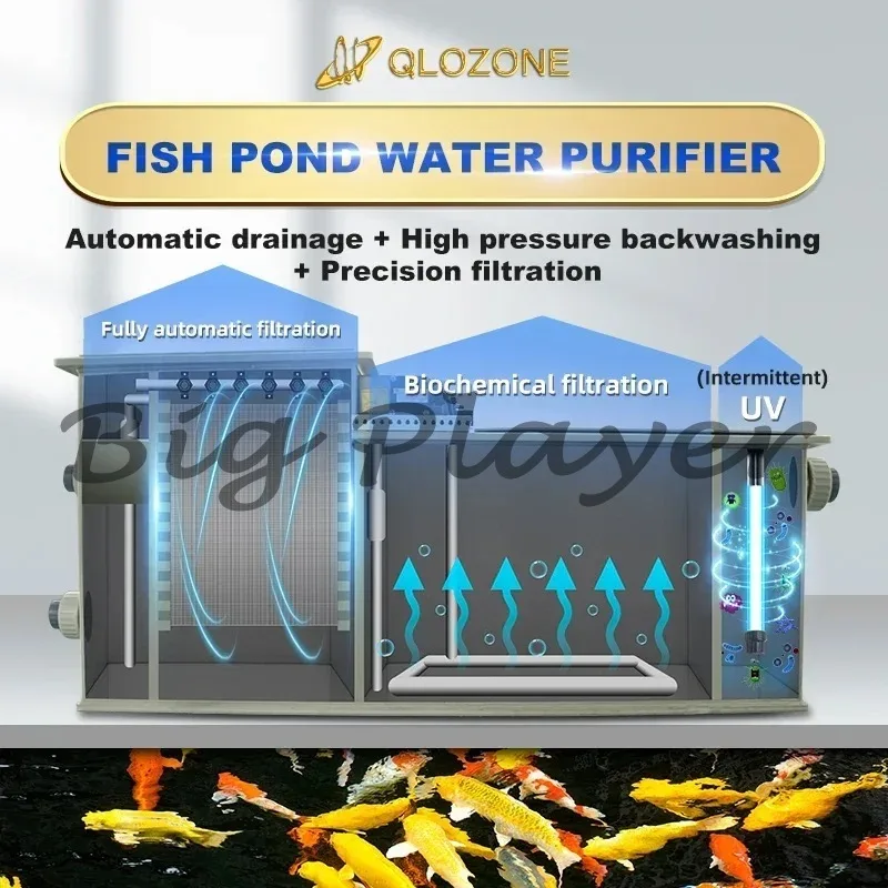 Aquaculture Fishpool Filtration Equipment Koi Fish Pond Farm Bio Filter System Koi Pond Rotary Drum Filter