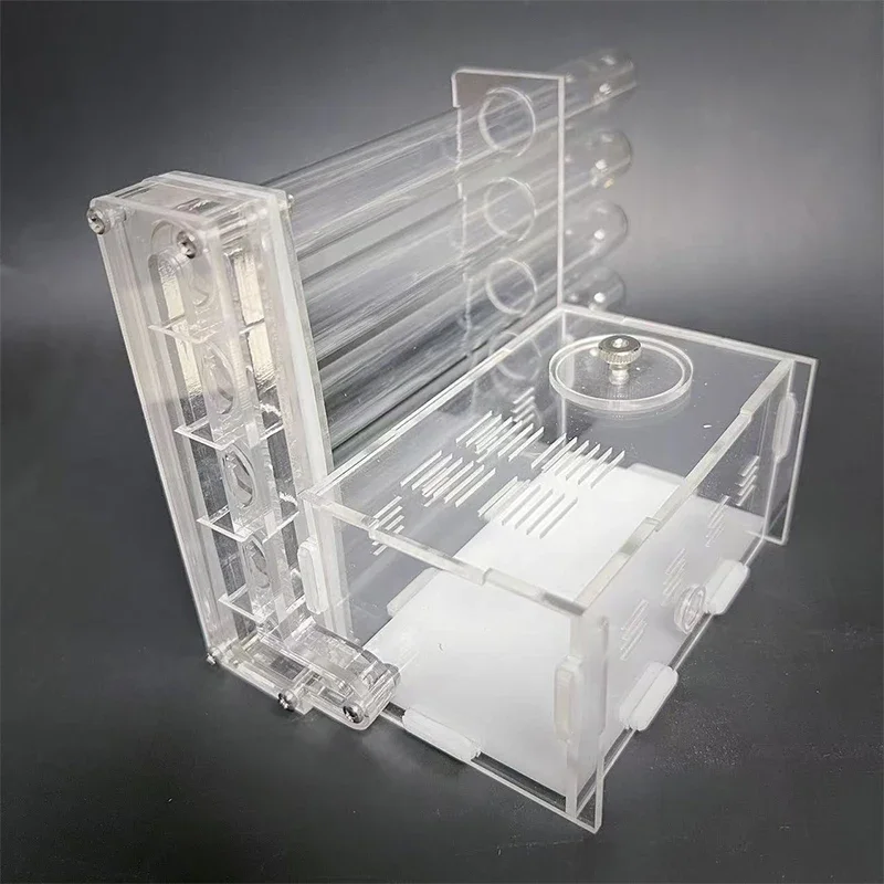 Acrylic Ant Farm with Feeding Area Ants House Workshop 5 Tubes Plaster Ant Nest Insect Gypsum Test Tube Nest Pet Anthill