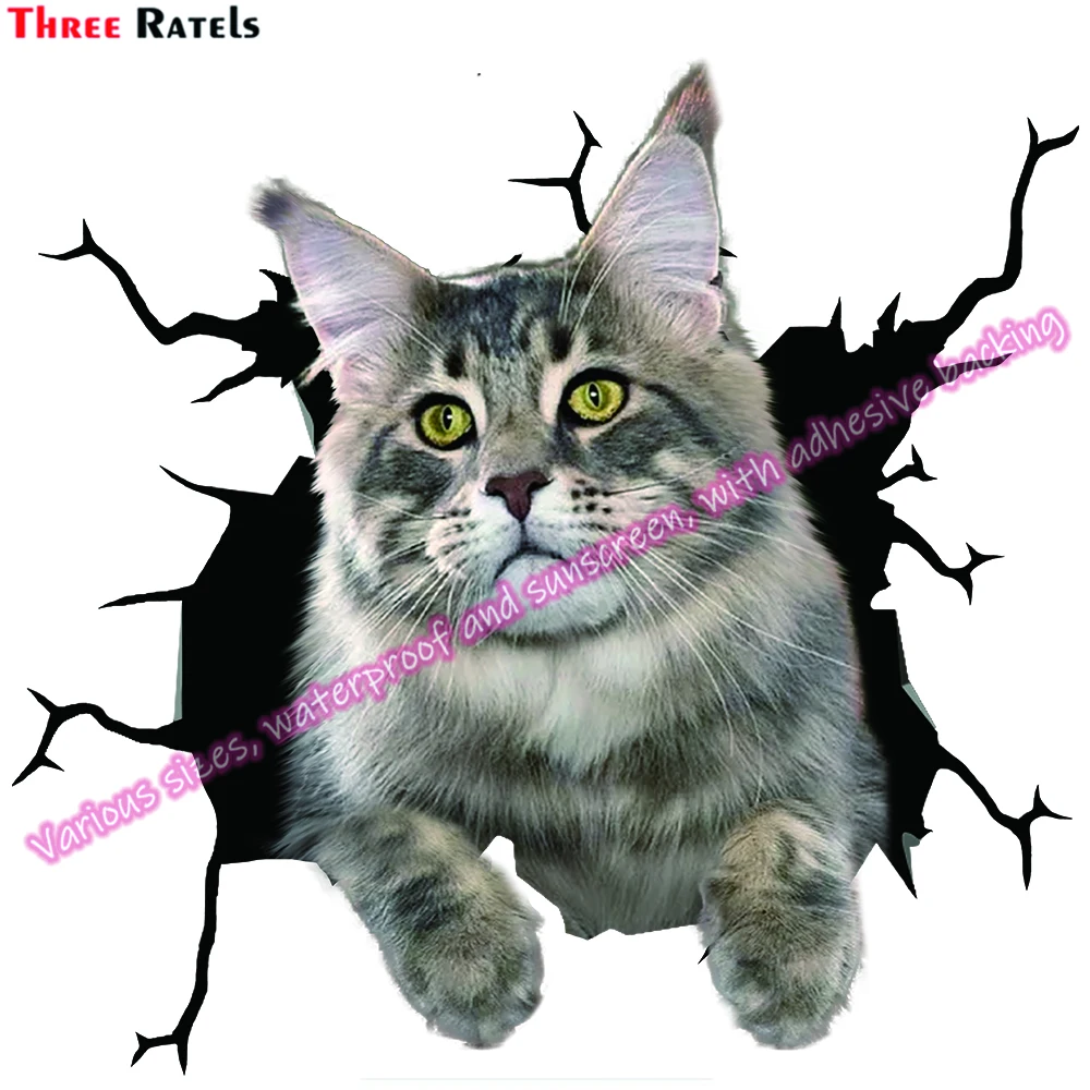 Three Ratels DA Maine Coon Cat Stickers For Bmw F30 Occlusion Scratch DIY Vinyl Material Decor Decals