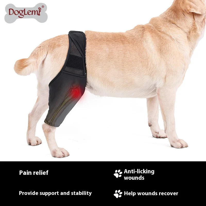 2024 New Pet Dog Joint Brace, Fracture Disability Fixed Knee Brace, Dog Leg Assist Belt