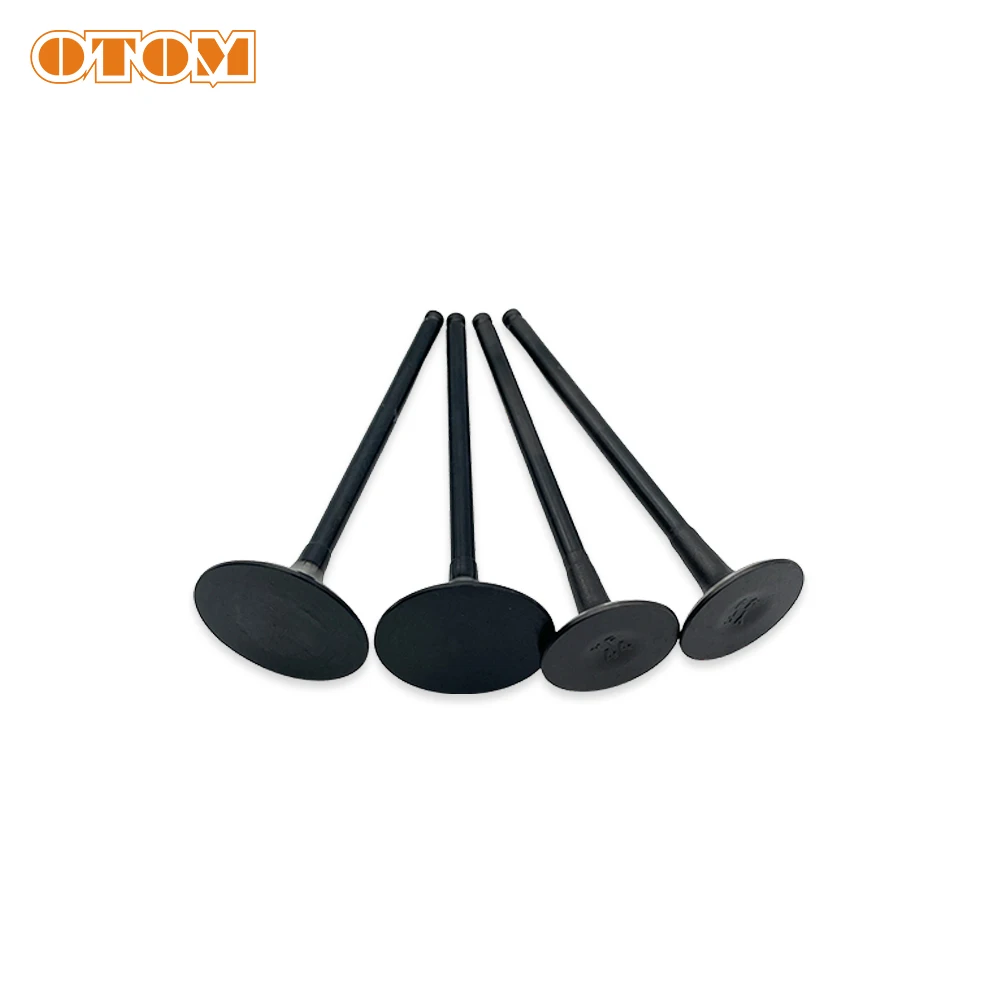 Motorcycle Accessories NX250 Intake And Exhaust Valves Stem Kit For KEWS BSE LONCIN KAYO ZONGSHEN ZS178MM-2 NX 250CC Engine Part