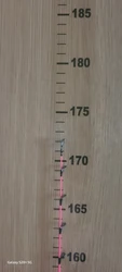 Imagen de reseña 3