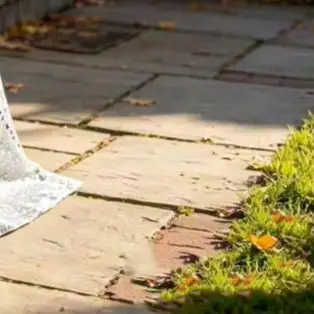 Hat for Goose Halloween Goose Outfit Halloween Ghost Goose Costume with Shiny Sequin Decor Spooky Yard Decoration Prop Festive