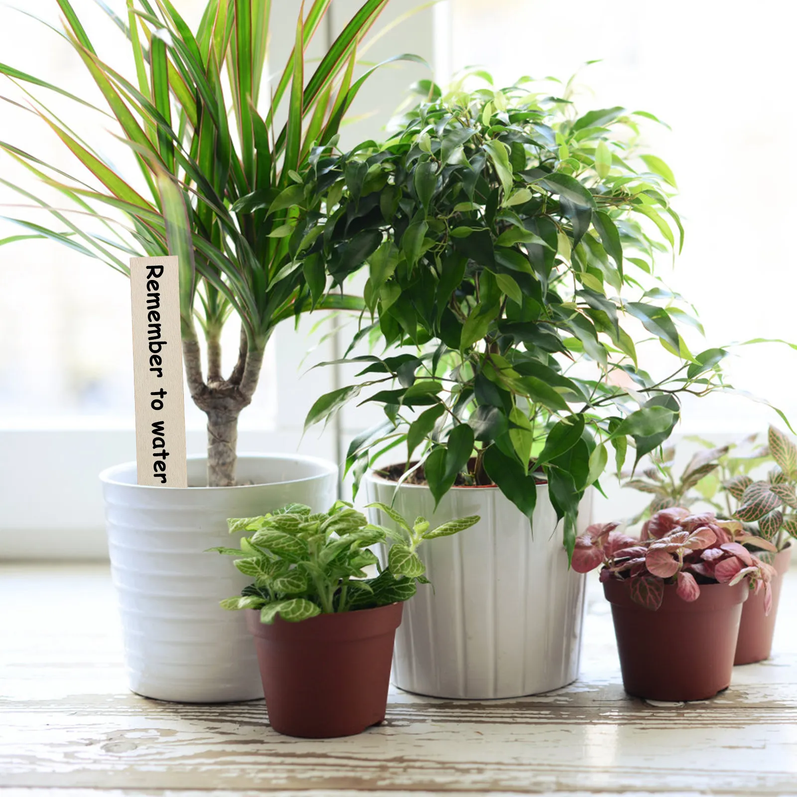 50Pcs Wooden Plant Labels Small Colorful Garden Markers Reusable Nursery Stakes for Home Botanical Garden Plant Identification