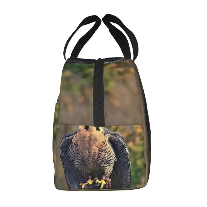 Peregrine Falcon Insulated Lunch Bag for Women Resuable Thermal Cooler Lunch Box Office Work School