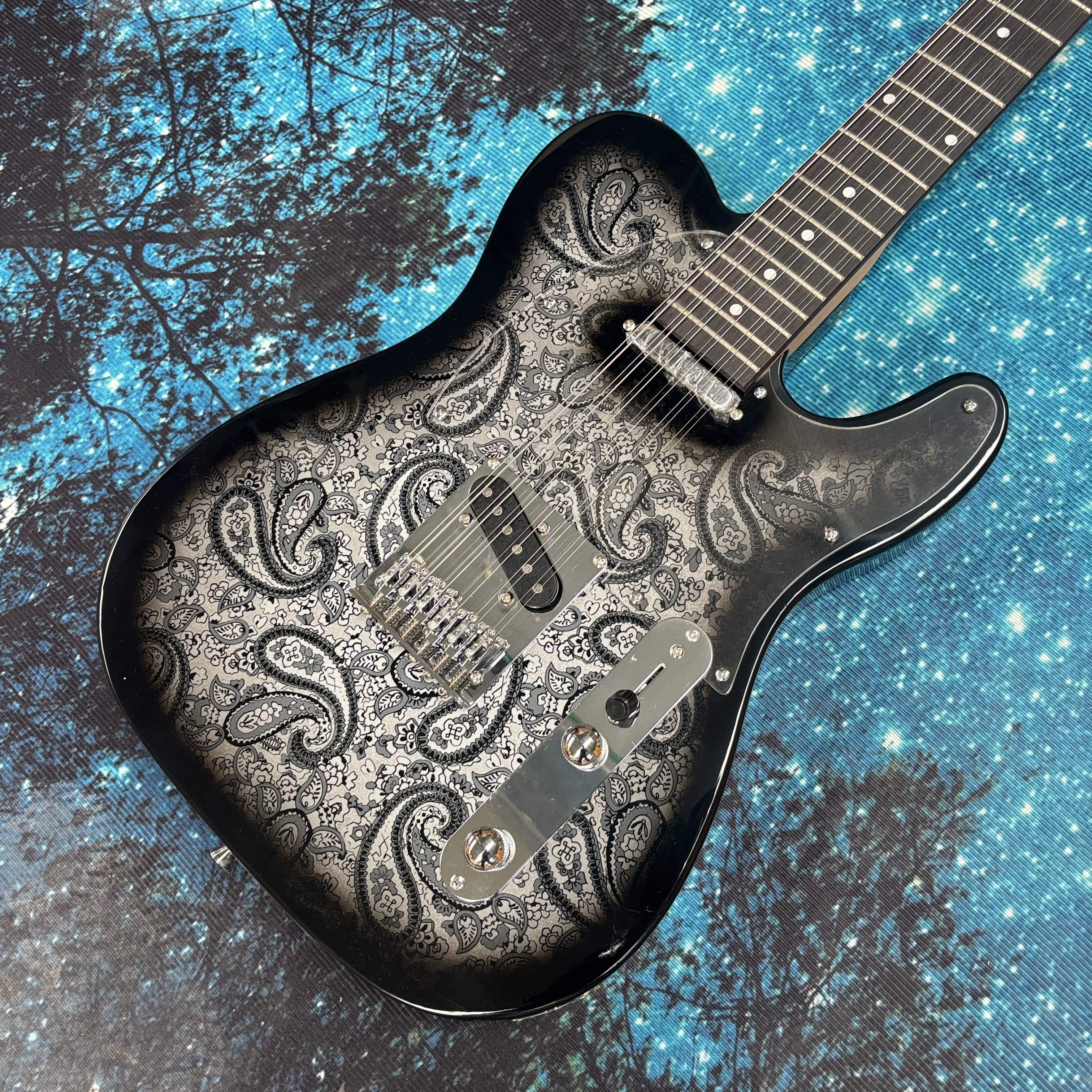 12-String Electric …