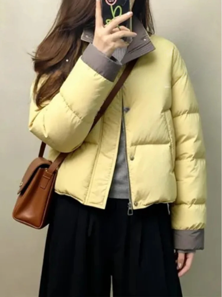 

Женская зимняя утепленная куртка-пуховик в корейском стиле, свободного кроя, с длинными рукавами, на молнии, из хлопка