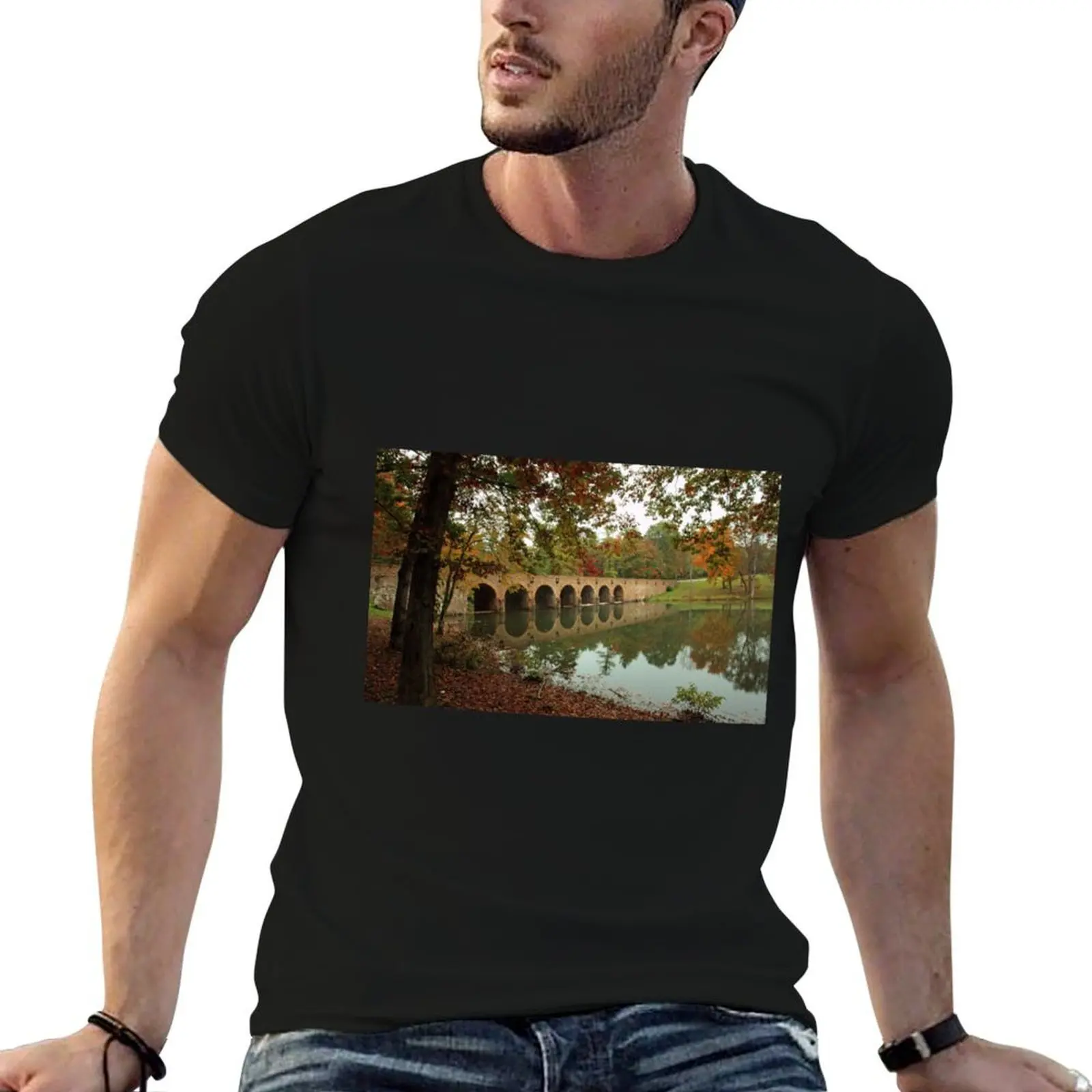 Cumberland Mountain State Park Bridge T-Shirt street wear vintage anime shirt black t shirts for men