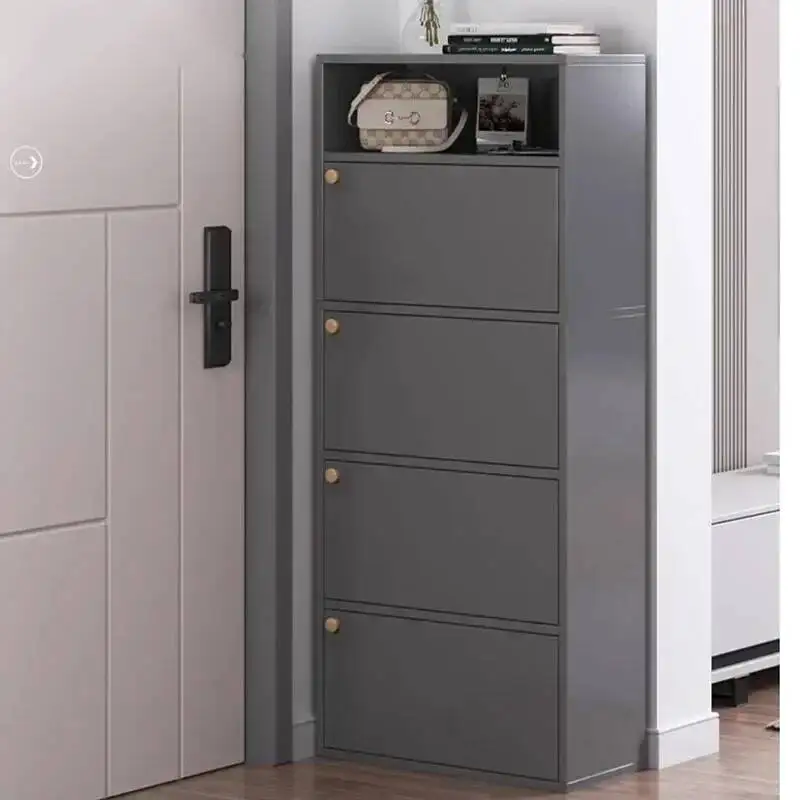 Vertical Nordic Shoe Cabinets Modern Dust Proof Luxury Large Shoe Cabinets European Closed Sapateiras Entrance Hall Furniture