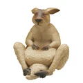 Kangaroo