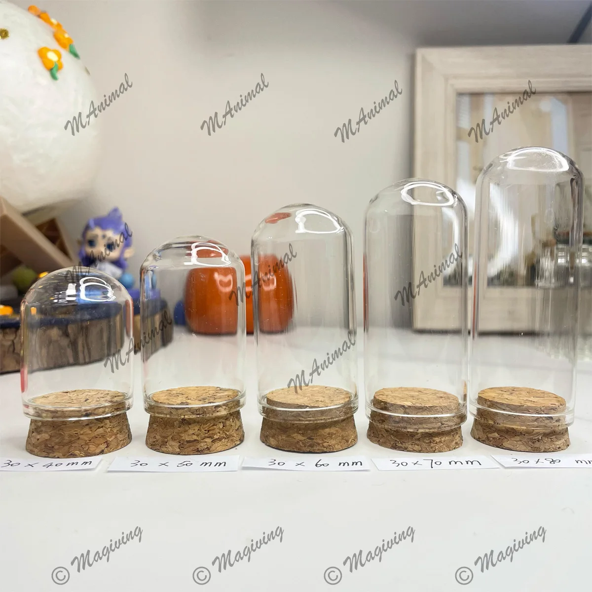 12Pcs Glass Cloche Bell Jar with Cork Base - 5 Sizes Display Case for Flowers Mini Bottles Terrarium Home Party Wedding Decor