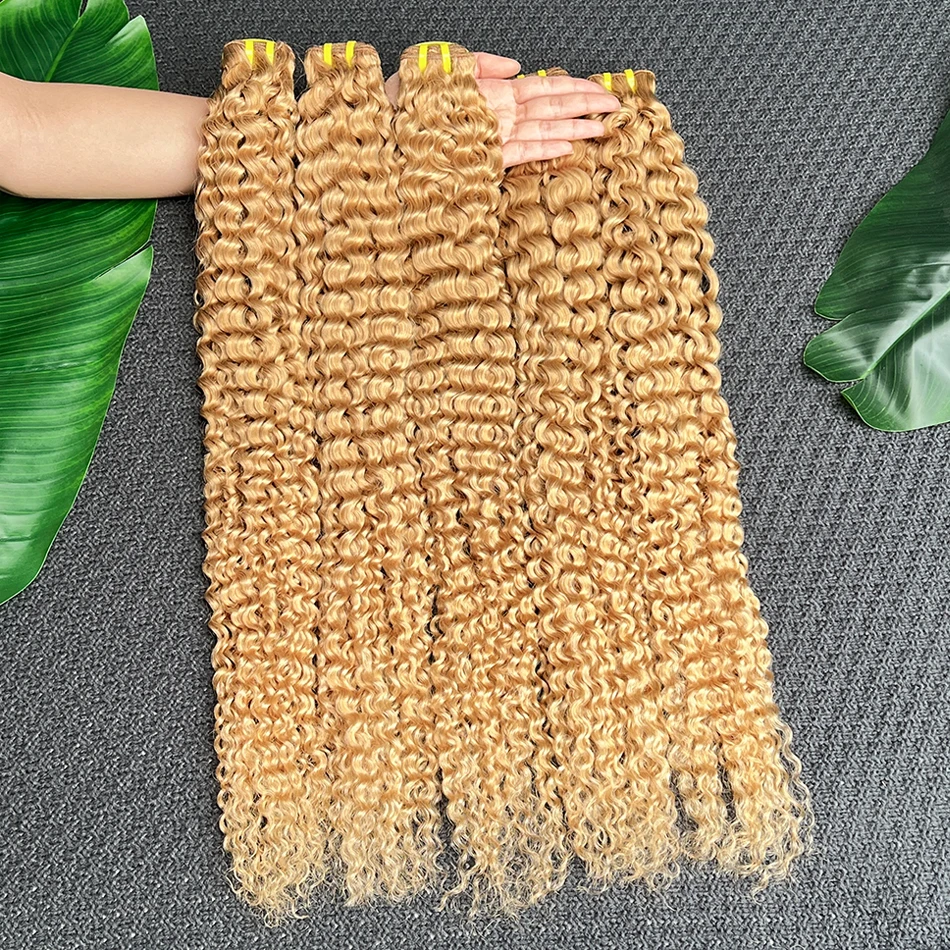 # ผมมนุษย์แบบลอนลึก 27 สี แบบมัดสองชั้น ขนาด 18-26 นิ้ว ผมเวียดนามแท้ 100% สำหรับต่อผม สำหรับผู้หญิง