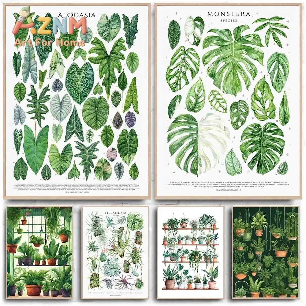 AZNM Unframed Canvas Wall Art Botanical Chart Monstera Alocasia Tillandsia Plant Leaf Species Vintage Watercolor Green Plant Pri