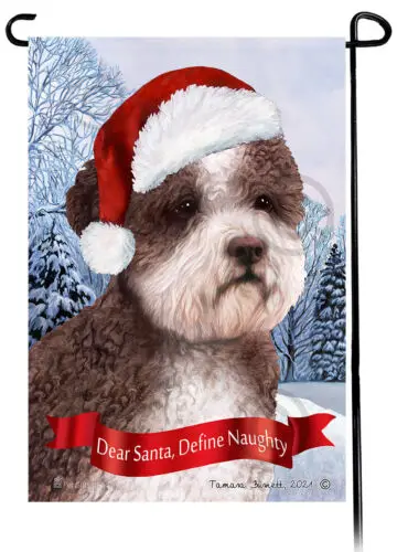 Lagotto Romagnolo Dear Santa, Define Naughty Garden Flag