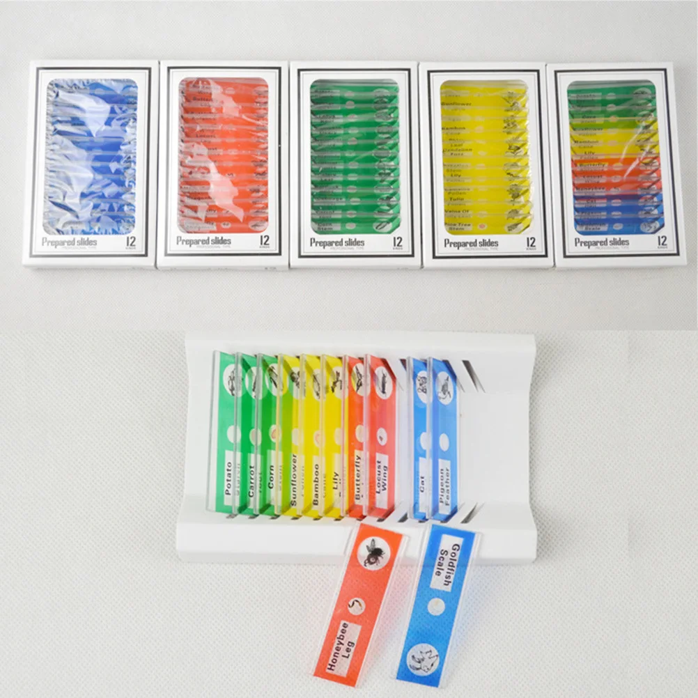 12pcs Microscope Slides 'S Plastic Biological Specimen Set Science Learning Samples For Red Color Easy
