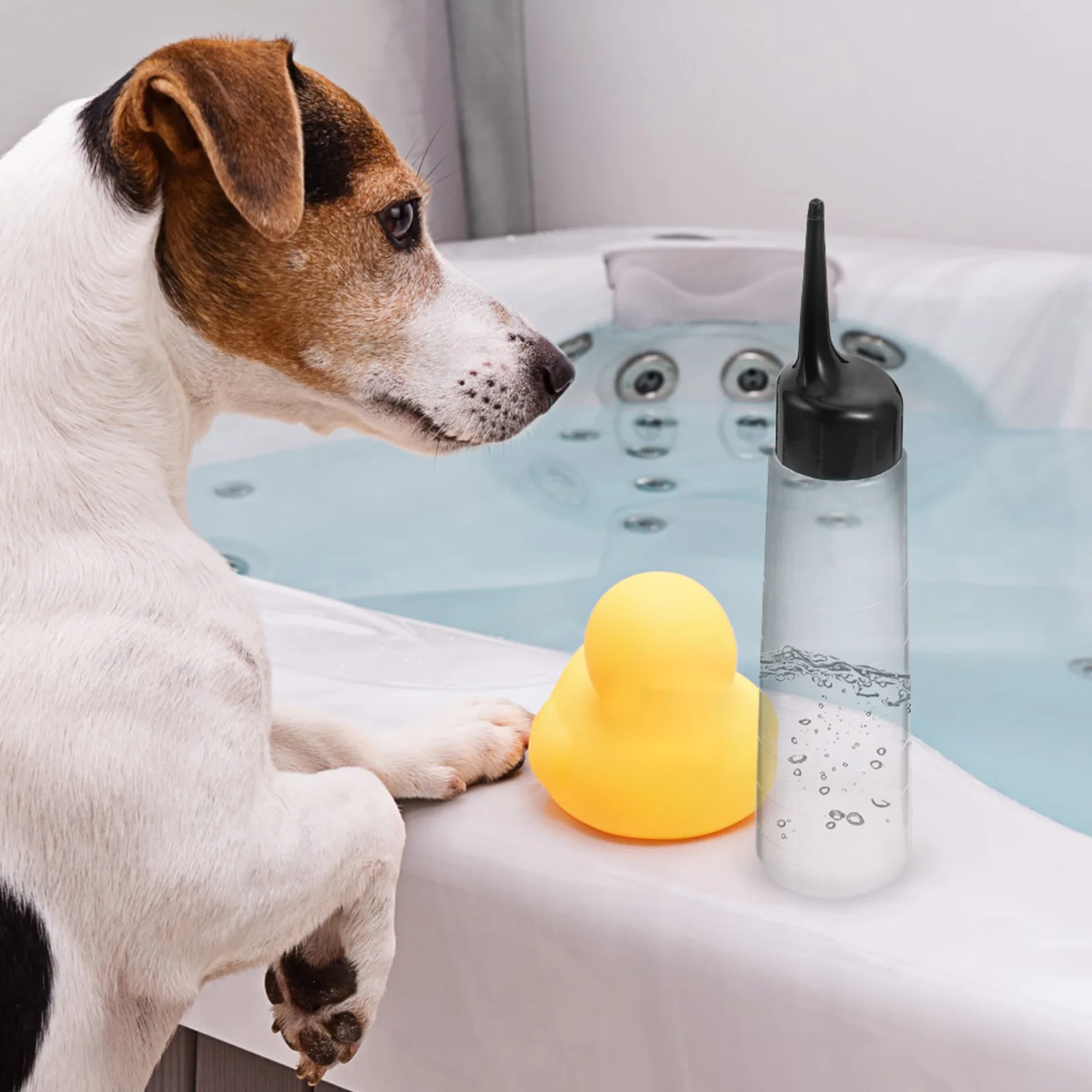 

2Pcs Graduated Bottle Plastic Squeeze Bottle Pointed Mouth Storage Container for Lubricating Oil Glue Daily Activities