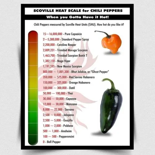 METAL WALL SIGN PLAQUE Scoville Heat Scale Chillies kitchen man cave cafe bar