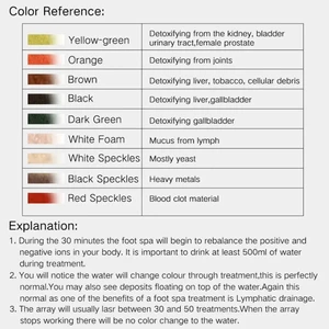 Entgiftungspa -Spa -Maschine, Mini -Ionenentgiftung, Gesundheitstherapie, Reinigung, Vibrate, Whirlpool -Pflege, Arrays Aqua 10 Hauptverkaufsentgiftungen - №9