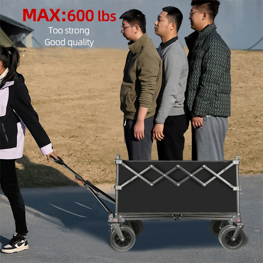 Thumbnail 2 - #18 Trending Beach Wagons Right Now